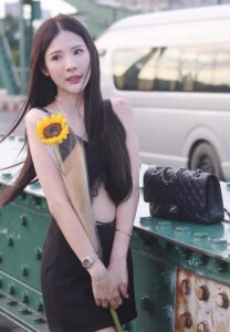 Fern-chanikan-ดอกทานตะวัน Fern-chanikan-ดอกทานตะวัน